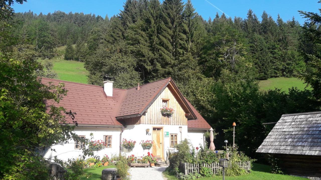 Ferienhaus Lenzau Strohmarkt Eksteriør bilde